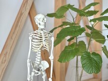 パークカルテ(park karte)/骨の模型でわかりやすく解説！