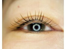 カシェ(cache)/秋カラーデザイン