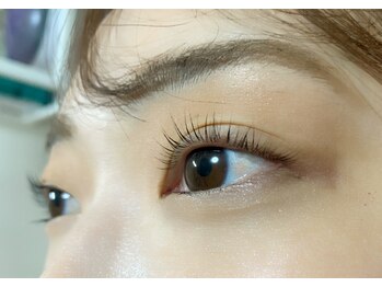 ベリスラッシュ(Bellis Lash)/ラッシュリフト