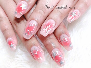 ノアブルーバードネイルズ(Noah' bluebird .nails)/チーク＆スターデザイン