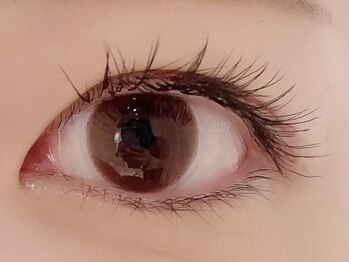 カラン 焼津店(CALIN)/フラットラッシュ100本