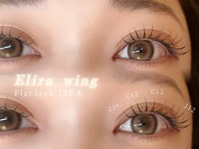 エリラ ウィング 自由が丘(Elira Wing)/フラットラッシュ120/自由ヶ丘