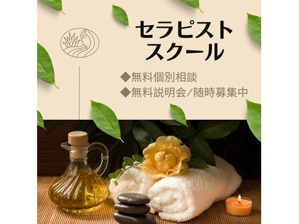 メロン(MELON)の写真