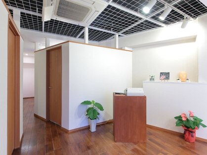 マオ(MAO)の写真