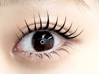 パティオアイラッシュ(Patio eyelash)の写真/更に進化した最新パリエクが大人気！《ご新規様平日限定！パリエクorエクステパーマ80本まで◇10000円》