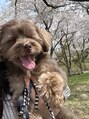 アイリー(irie) わんころ第2号☆プンバ