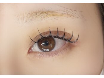 バタフライ 川崎店(Butterfly)/フラットラッシュ120本