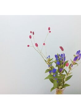 ベルード(veludo)/お花のある癒しの空間♪