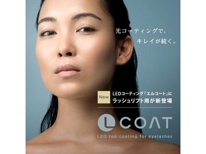 ラウレア(laule‘a)の写真