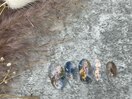 シェラック定額アート