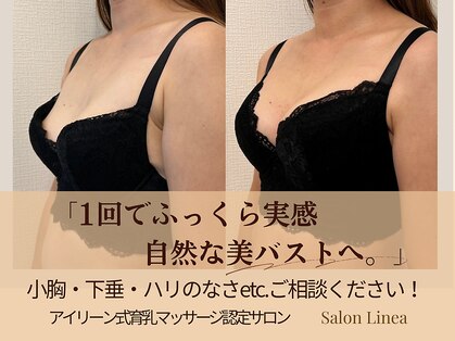 リネア(Linea)の写真