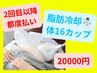 2回目以降都度【脂肪冷却】冷却カップ4つ30分×4セット！計16箇所【男女OK】