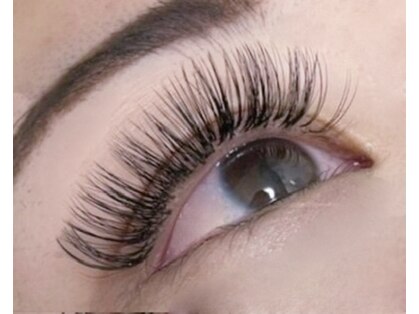 ムーン(Moon)の写真