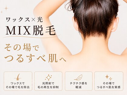 シェリラ(cherela)の写真