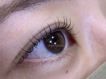 アフロデイーテ(Aphrodite)/Lash Lift