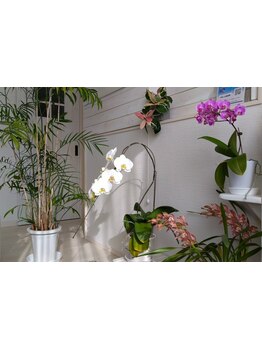 小規模プライベートサロン