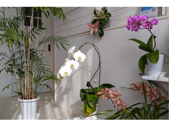 やましん施術院の写真/白を基調に緊張せず来られるようなサロンになっております!木更津の周りの風景もお楽しみください!