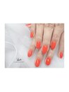 bbt nail