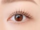 ベリス(Bellis)の写真