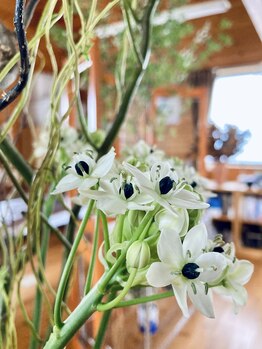 わたなべ整体院/