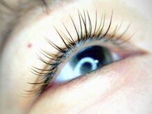 カシェ(cache)/秋カラーデザイン