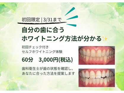 コトリト(Cotorito)の写真