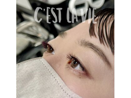 セラヴィ(C'est la vie)の写真