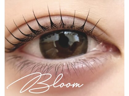 ブルーム(Bloom)の写真