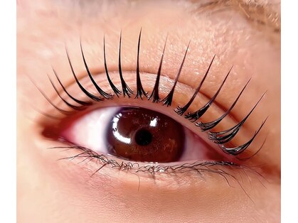 プチアミー(Petit Amie)の写真