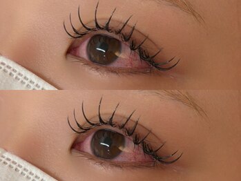 コノハ(KONOHA)/フラットラッシュ120本