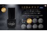 LEDグルーご希望の方はこちらをお選びください！