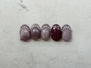 店内サンプル☆レオコース¥8250