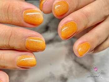 セッテマーリ(sette mari)/ワンカラーネイル