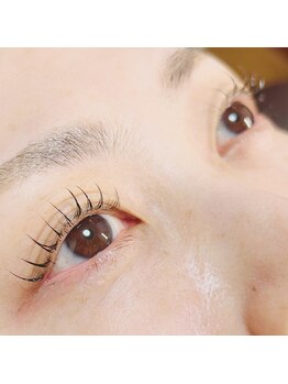 トライナ(Tryna)/まつ毛パーマ