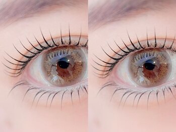 ポー(Po)/上下パリジェンヌラッシュリフト