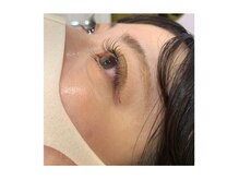 コノハ(KONOHA)/ダークブラウン120本