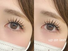 クプ アイラッシュプラス(qup)/アップオンラッシュ140本＊