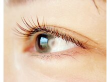 カシェ(cache)/秋カラーデザイン