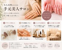 テイラー(Taylor)