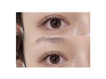 ブリンク(BLINK)/フラットラッシュ120本