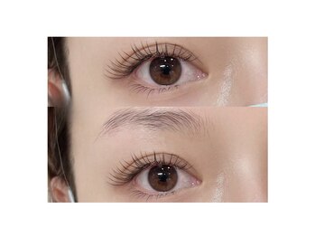 ブリンク(BLINK)/フラットラッシュ120本