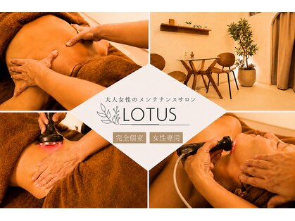 ロータス(LOTUS)の写真
