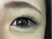 シュシュ(chou chou)/セーブル（上）160本（下）40本