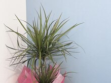 プリズムアイ(Prism eye)/あなたお一人だけの癒しの瞬間を