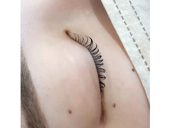 ロータス(Lotus)/