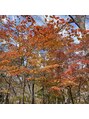 ボニータ 発寒南店(Bonita)&nbsp;1番好きな季節！！公園のベンチで1人で本を読んでいました、、