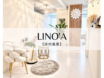 リノア 柏(Lino'a)/白が貴重の広々店内で本格改善♪