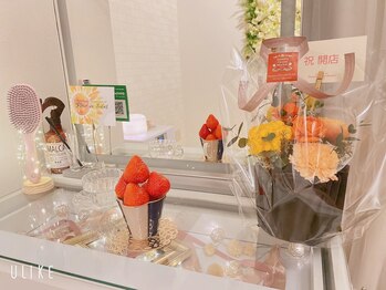 フルールドソレイユ(Fleur de Soleil)/ドレッサー