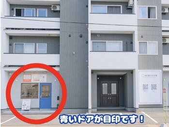 リンク(Link)/Linkの外観