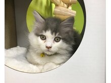 リフレス/遊ぶのが大好き！